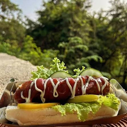 Hungarian Sandwich