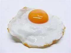 FRIED EGG
